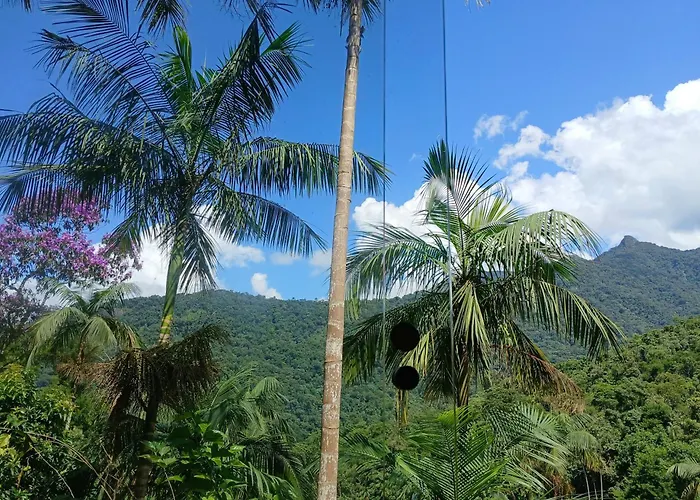 Casa Da Floresta Pico Da Aguia